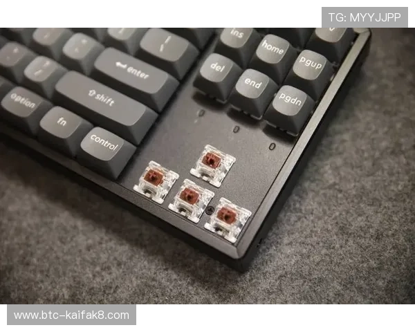 K8电子技巧全面解析新手入门到高手进阶的实用攻略与操作技巧提升K8电子游戏技巧的实战经验与策略分享